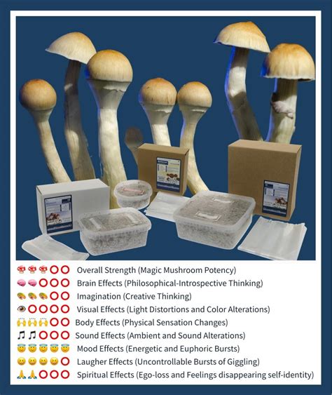 The Pros and Cons of Growing Magic Mushrooms with Online Cultivation Kits